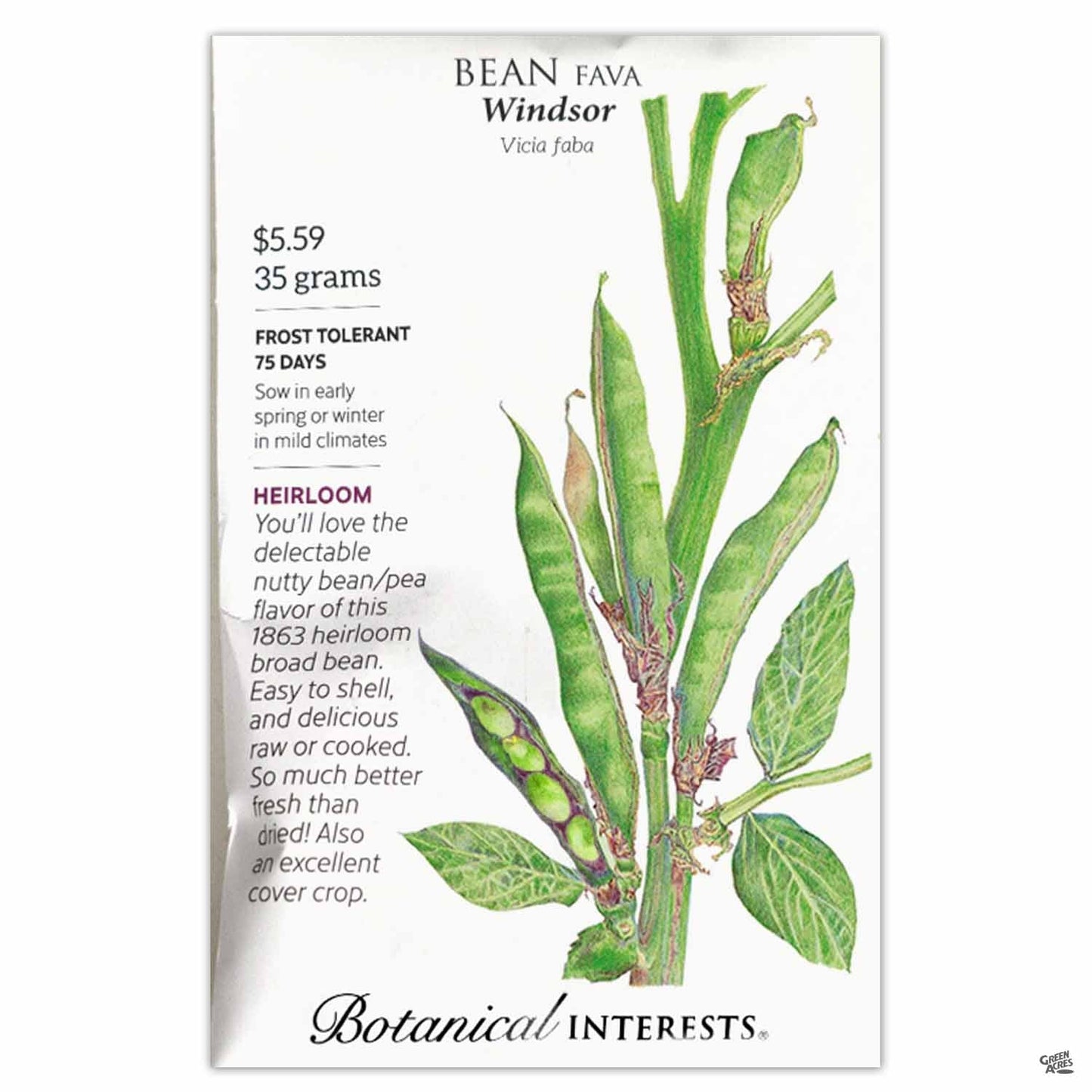 Fava Bean