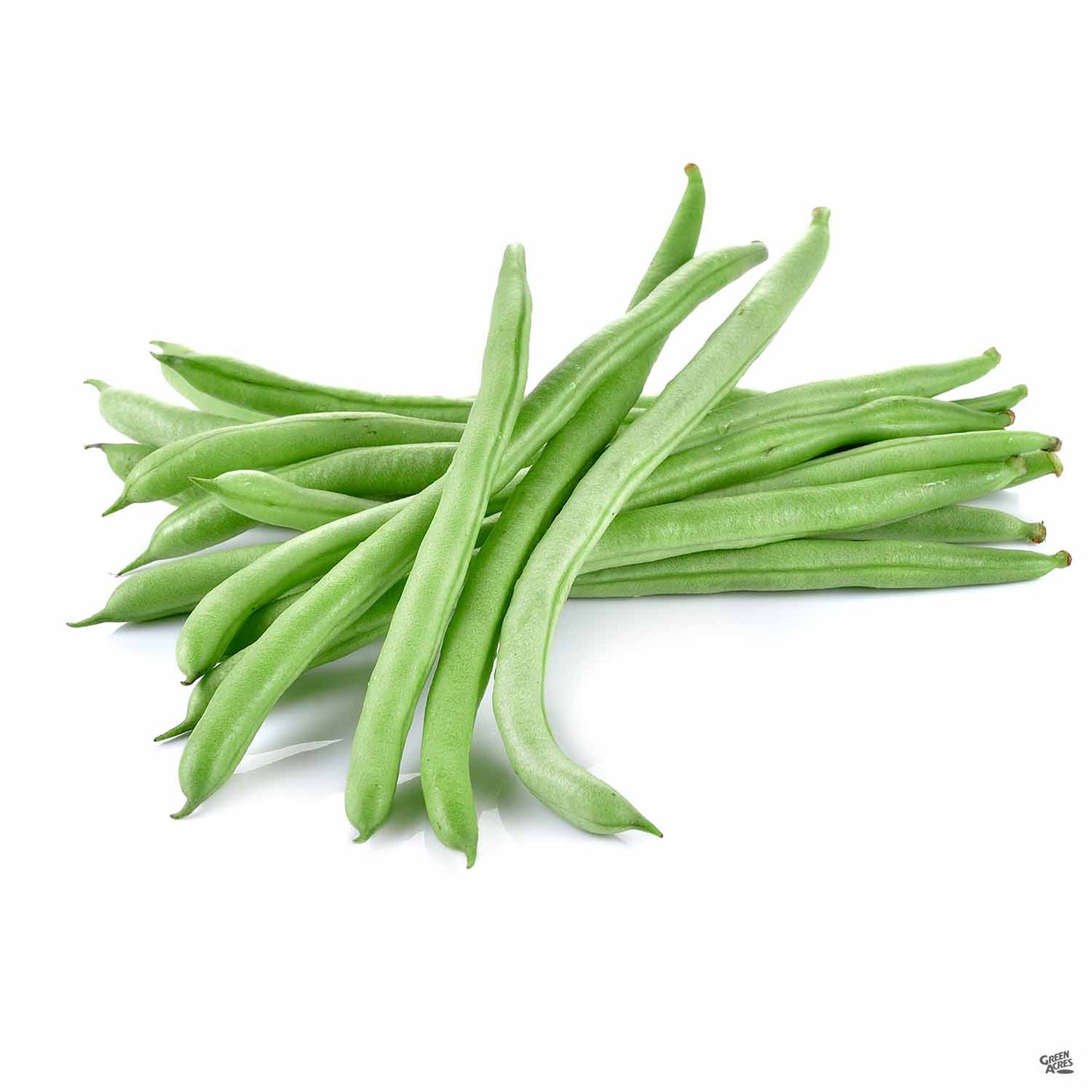 Bush Bean 'Blue Lake'