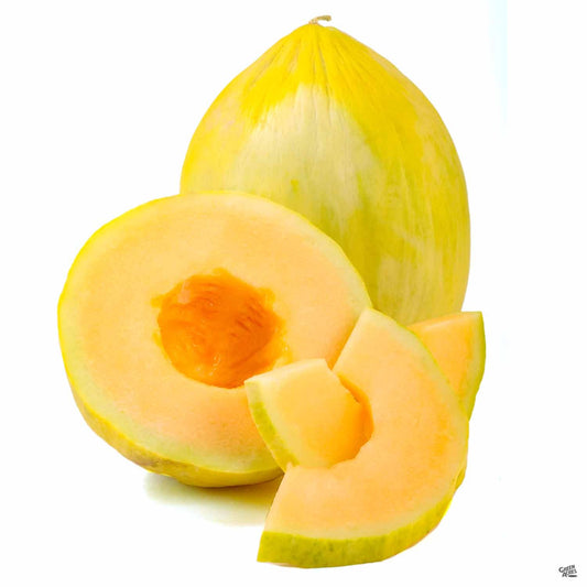 Melon 'Crenshaw'