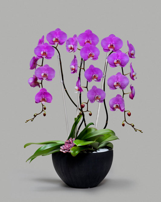 TRIPLE PINK CRYSTAL