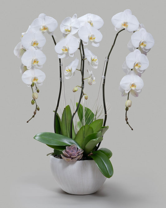 TRIPLE WHITE CRYSTAL