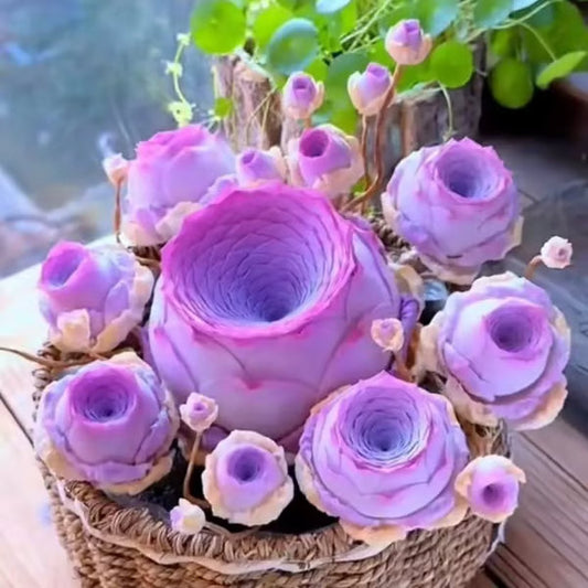 🌱🌹Mountain Rose: Beauty That Never Fades, Even for Newbie Blades!"🌺